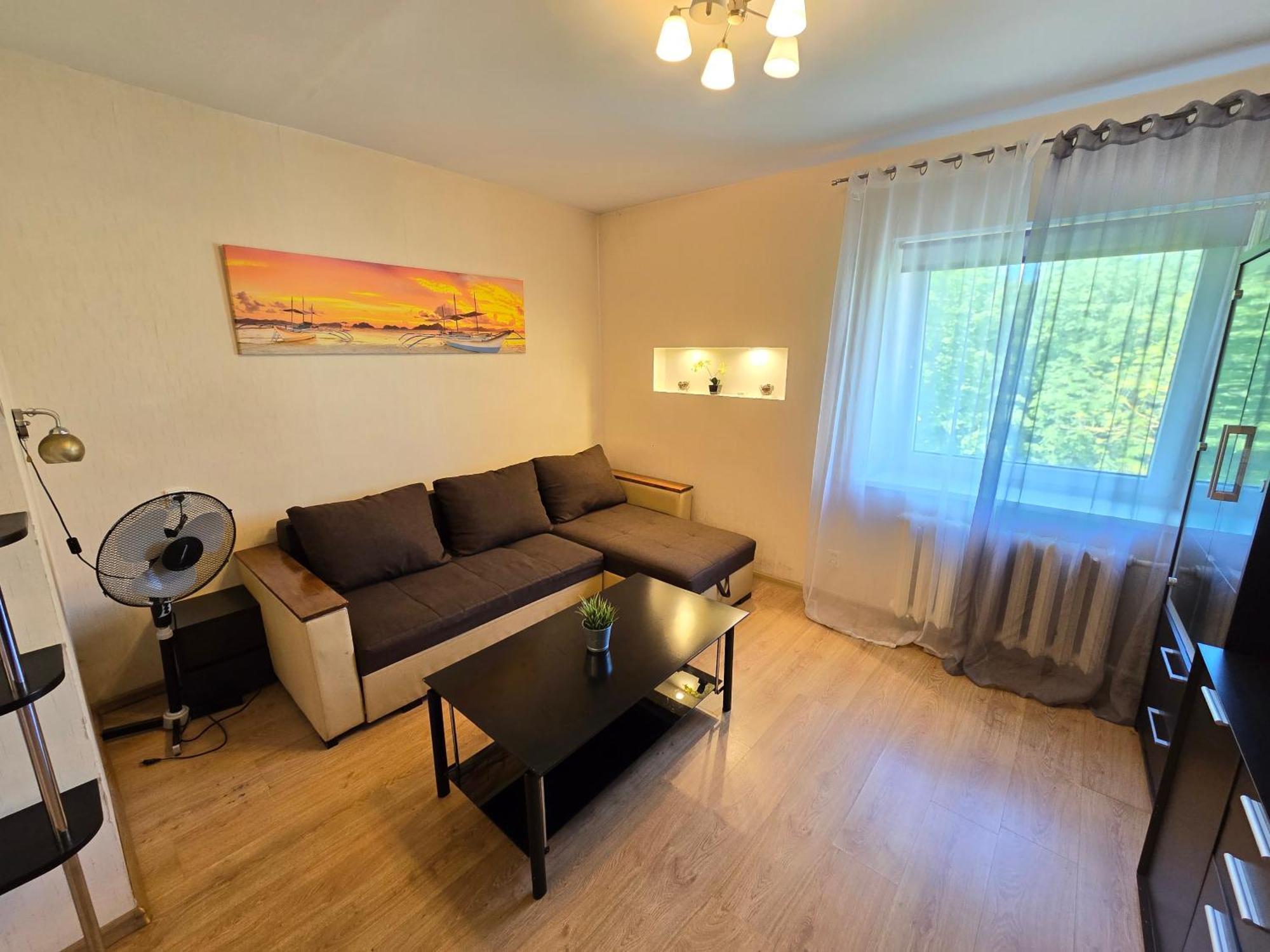 River Apartment Клайпеда Екстер'єр фото